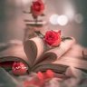 رحلــة عمر ،،،،'s profile picture