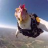 Profilbild von Jo