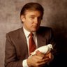 El Trumpista 的头像