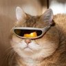 Profilbild von 羽