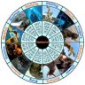 Rob White's profile picture