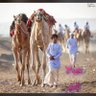 Фото профиля alhashmi