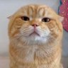 nan profil fotoğrafı