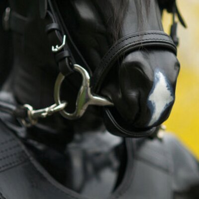 Nighty's profile picture