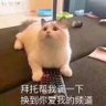 Фото профиля 财税古经理