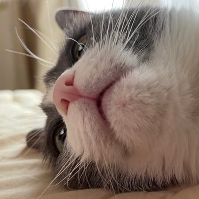 めぐりん🍏ミセス's profile picture