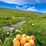Фото профиля can Akan