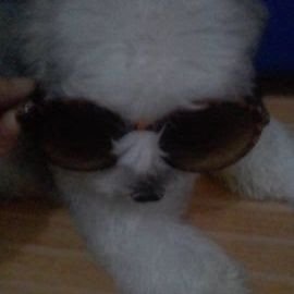 Fierce Lady's profile picture