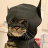 Sticky🦇's profile picture