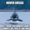 Orcas 的头像