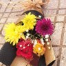 Ferhat Laid's profile picture