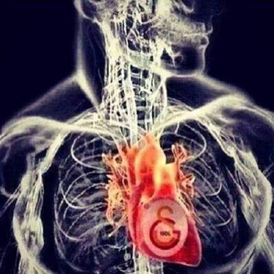 Erdinç's profile picture
