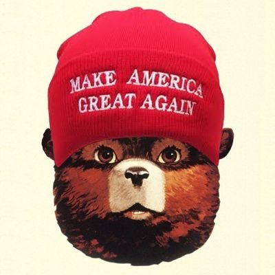 NachoQuixotic's profile picture