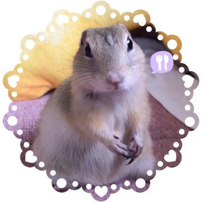 キャラメル🐿's profile picture