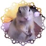 キャラメル🐿 profil fotoğrafı