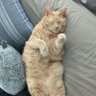 niceguycrispy profil fotoğrafı