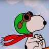 camis's profile picture