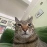 weston profil fotoğrafı