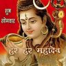 Фото профиля Rajendra Tiwari