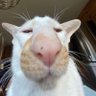 h's profile picture