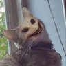 Profilbild von spooky scary skeleton
