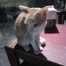 Mr.San's profile picture