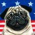 yay's profile picture