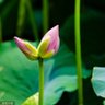 Фото профиля مهاجر عبد الرحمن