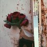 رَا .'s profile picture