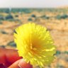 Фото профиля Fayad Salem