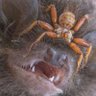 Pacco Unna's profile picture