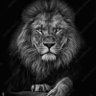 Фото профиля Thegamechanger