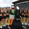goducksgo 的头像