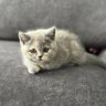 Lolanın annesi profil fotoğrafı