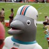 Profilbild von JP - FIRE CHRIS GRIER 🇺🇲 🐬 🐶