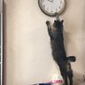 タカコ profil fotoğrafı
