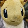 Ashley (staring eevee) 的头像