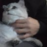 李嘉图 的头像