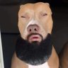 Alex's profile picture