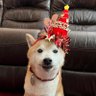 Profilbild von Michiko Freeman