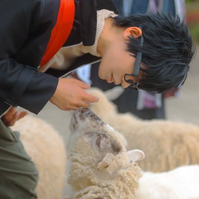 kotyooo's profile picture