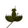 Фото профиля どんぐりねこ
