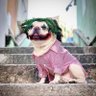 Profilbild von Broccolini NYC