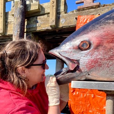 Dr. Karly E. Cohen's profile picture