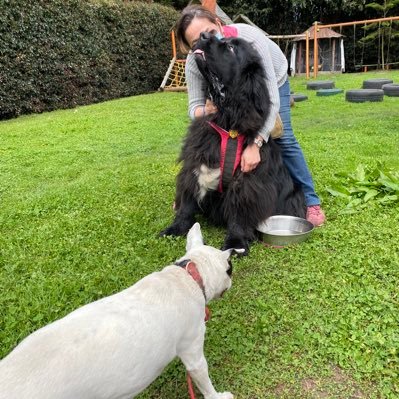 Marce Tabares 🐶's profile picture
