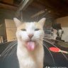 idektbh's profile picture