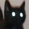 Kodi's profile picture