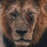 ٌٌنِاجدٓ's profile picture
