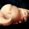The Fantastic Fungus (Gourmand main)'s profile picture