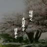 YuZu 的头像